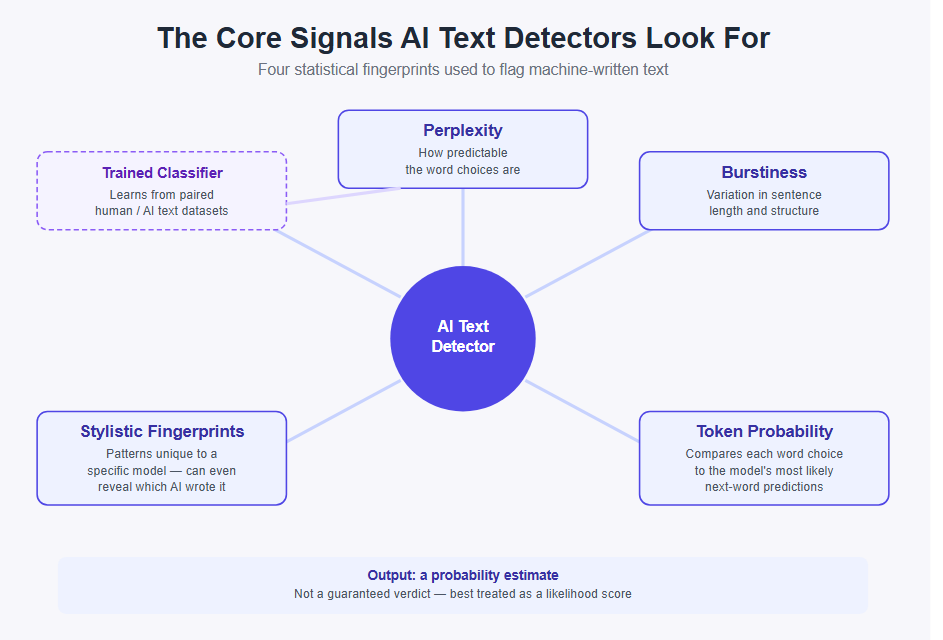 The Core Signals AI Text Detectors Look For
