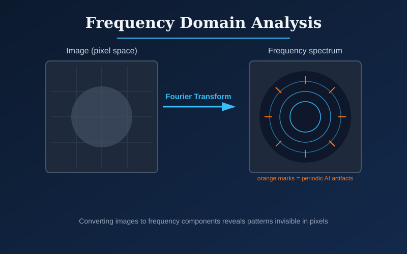 Frequency Domain Analysis