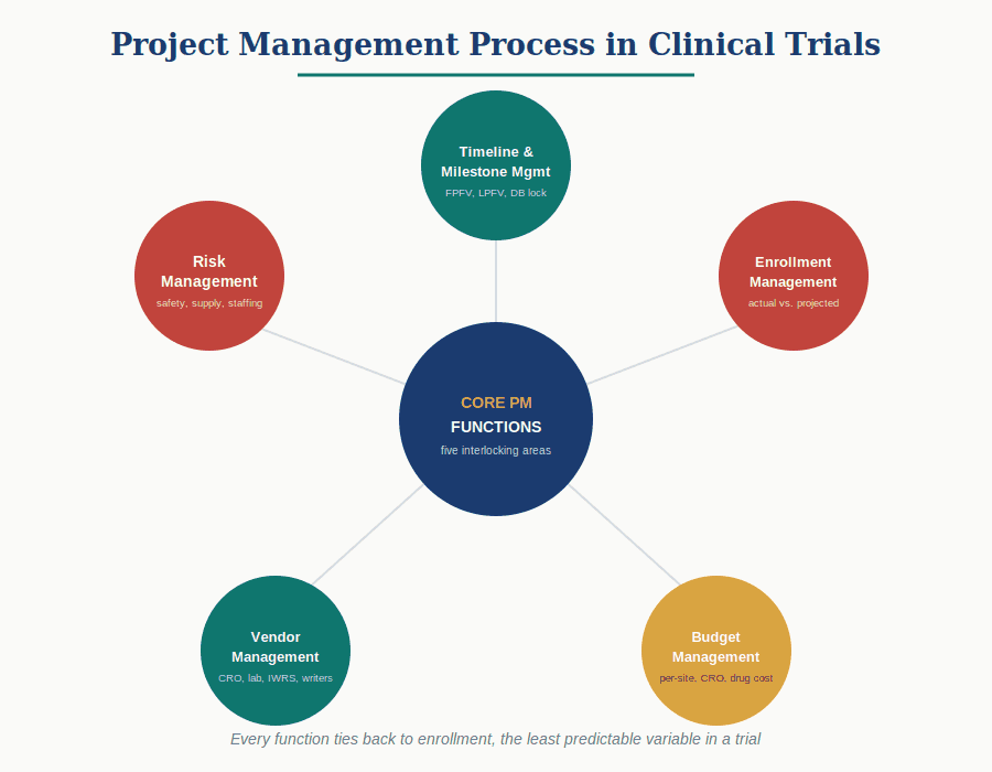 Core Project Management Functions in Clinical Trials
